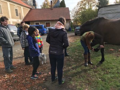 Klikněte pro zobrazení původního obrázku